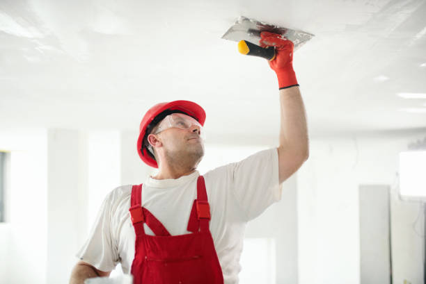 Best Drywall Installation  in St Louis Park, MN